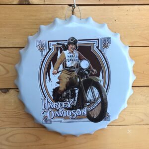 Chapa harley davidson